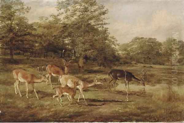 Stags and hinds Oil Painting by Thomas Barrett