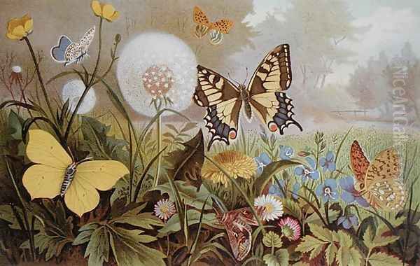 Butterflies, illustration from an Hungarian natural history book, c.1900 Oil Painting by Alfred Brehm