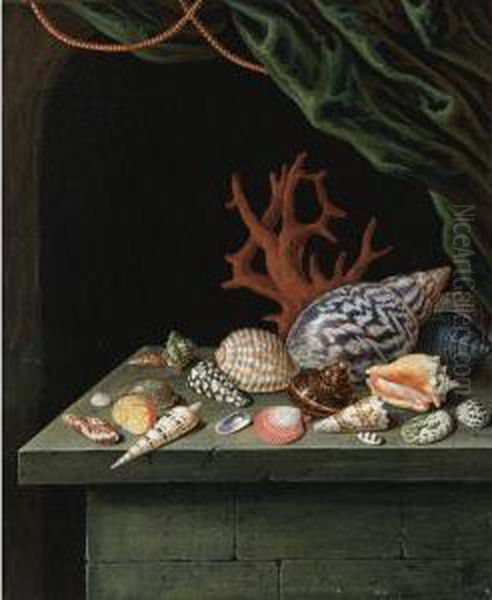 Still Life With Shells And Coral, Resting On A Stone Ledge Oil Painting by Antoine Berjon