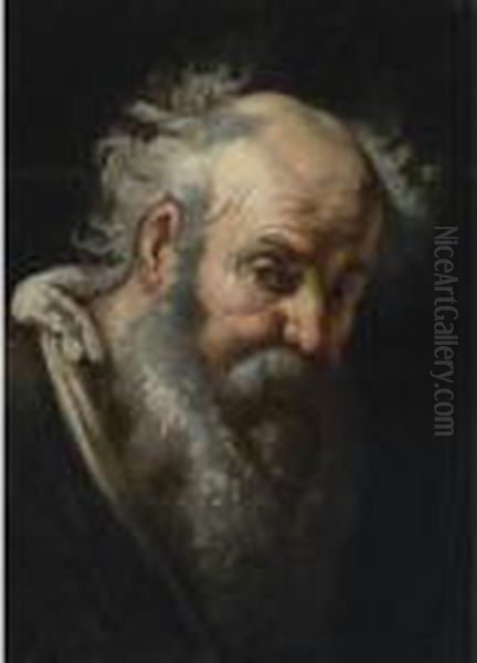 Head Of A Bearded Man Oil Painting by Bernardo Strozzi