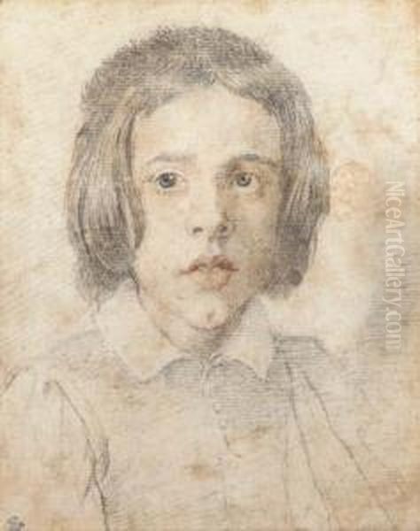 A Young Boy With Long Hair, Bust-length Oil Painting by Gian Lorenzo Bernini