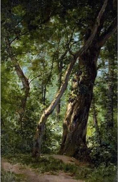 Arbres En Foret Oil Painting by Eugene Berthelon