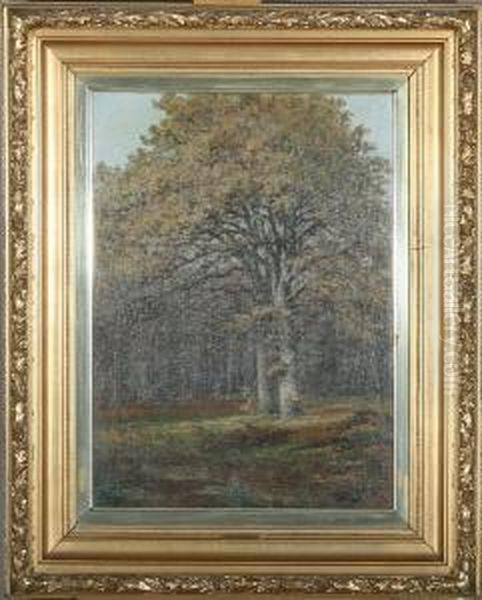 A Forest With Large Oak Trees Oil Painting by Christian Berthelsen