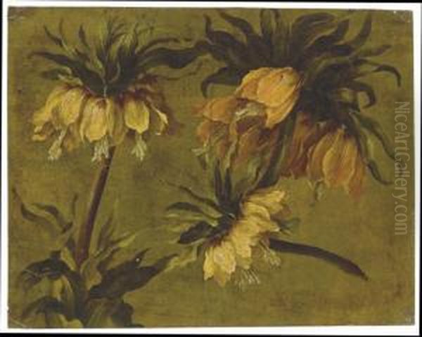 Fritillaria Imperialis Oil Painting by Pancrace Bessa