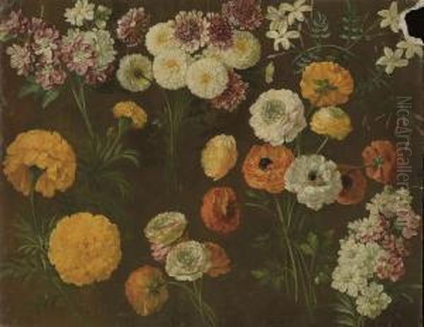 Pink And White Matthiola, A Pink
 Dianthus, Chrysanthemum, Whitejasmine, Ranonculus And Marigolds Oil Painting by Pancrace Bessa