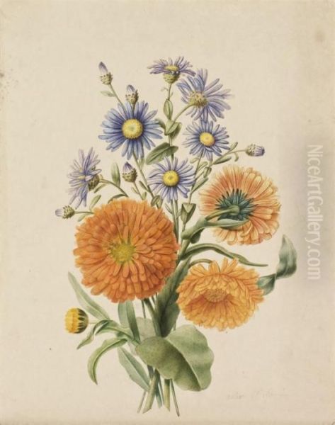 Bouquet D'asters Bleus Et De Soucis Orange (recto); Une Asteraceepourpre (verso) Oil Painting by Pancrace Bessa