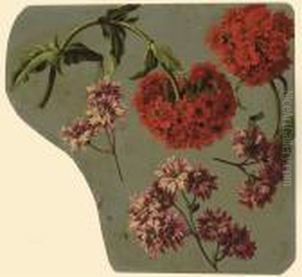 Chrysanthemes Mauves Et Lychnis Chalcedonia Rouge Oil Painting by Pancrace Bessa