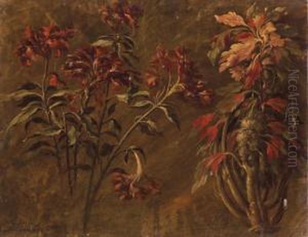 Pivoines Sauvages (recto); Fleurs Et Fruits De Chevrefeuille(verso) Oil Painting by Pancrace Bessa