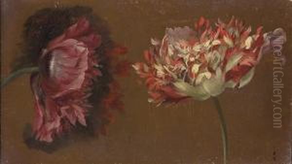 Deux Fleurs De Pavot Roses Et Blanches Oil Painting by Pancrace Bessa