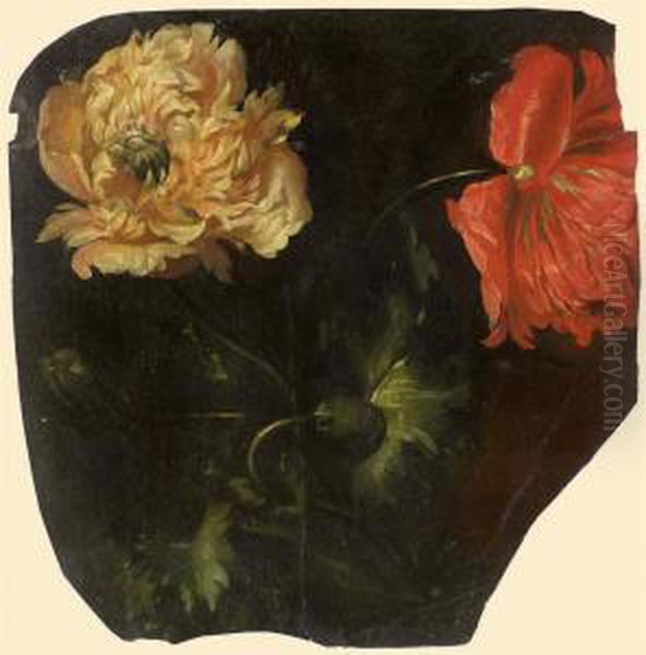 Deux Fleurs De Pavot, Une Rouge Et Une Blanche Oil Painting by Pancrace Bessa