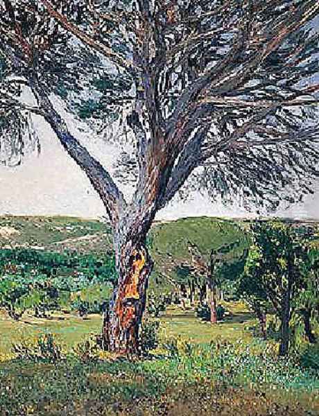 Pinos del Plantío de los Infantes Oil Painting by Aureliano de Beruete y Moret