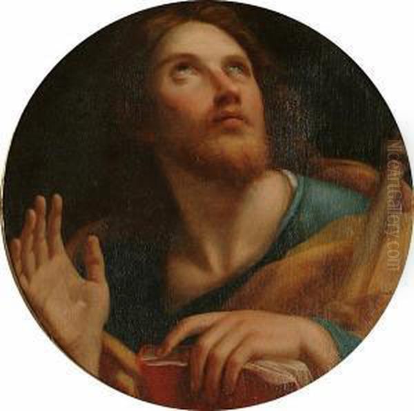 Saint Paul Oil Painting by Pietro Bianchi