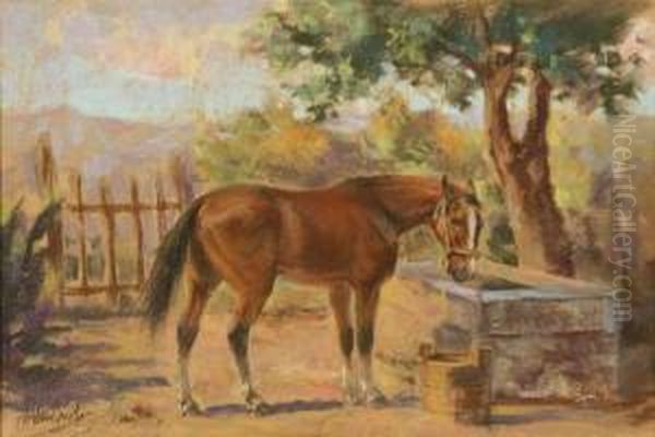 Cavallo Oil Painting by Silvio Bicchi