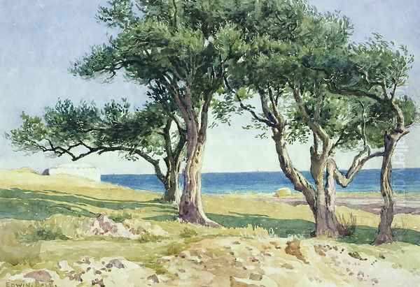 Old Olive Trees, Bordighera Oil Painting by Edwin Bale