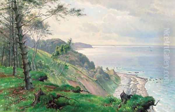 The Danish coast Oil Painting by Johannes Boesen