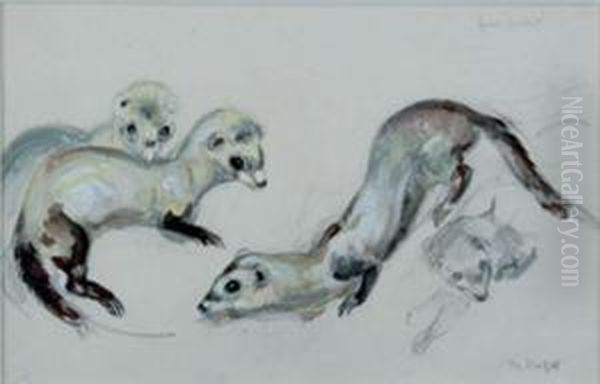 Furet Putoise, Etude by Raymond Bigot