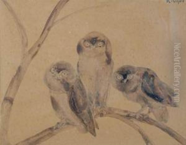 Les Trois Chouettes by Raymond Bigot