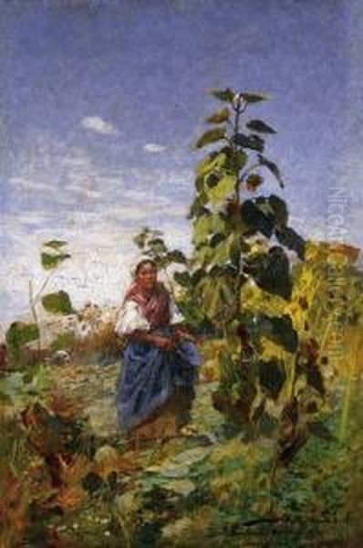 Young Wife Among Sunflowers Oil Painting by Sandor Alexander Bihari