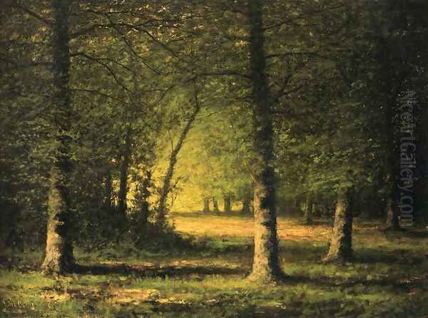 Beech Trees Oil Painting by Carl Brenner