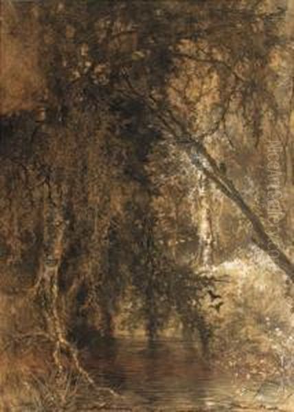 Trees Hanging Over A Stream Oil Painting by Johannes Warnardus Bilders