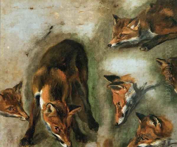 Studies of a Fox Oil Painting by Peeter Boel