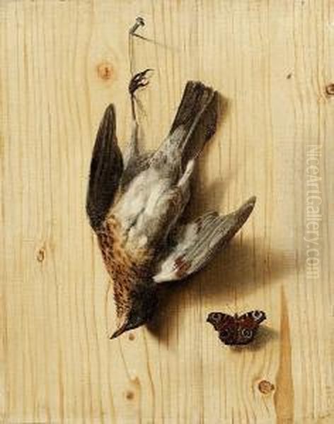 A Trompe L'oeil Of A Wooden 
Partition With A Dead Fieldfare Suspended From A Nail With A Peacock 
Butterfly Oil Painting by Jacobus Biltius