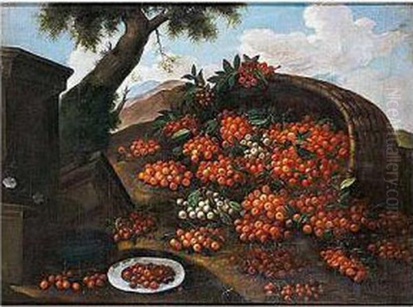 Cesto De Cerezas Oil Painting by Bartolommeo Bimbi