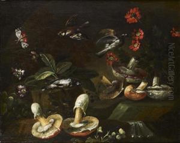 Nature Morte Aux Champignons Et Fleurs, Animee D'oiseaux Oil Painting by Bartolommeo Bimbi