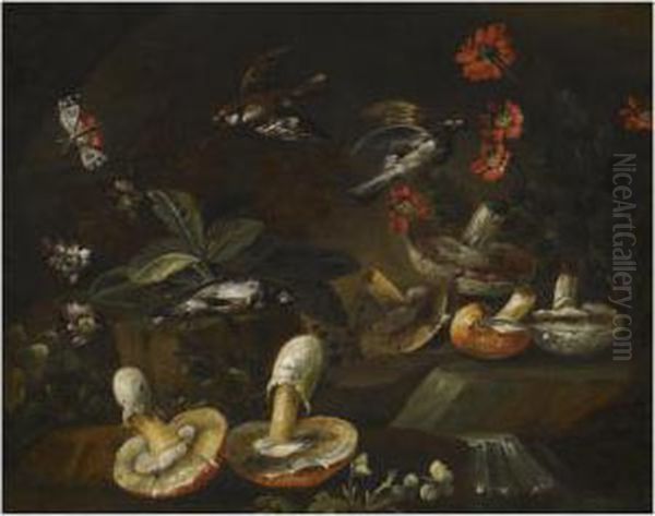 A Forest Floor Still Life With Mushrooms, Flowers, Birds And Abutterfly Oil Painting by Bartolommeo Bimbi