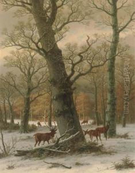 Deer In A Forest Oil Painting by Caesar Bimmermann