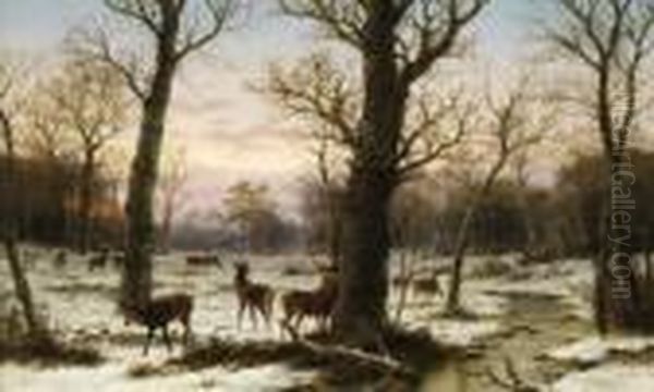 Winterwald Mit Rotwild Oil Painting by Caesar Bimmermann