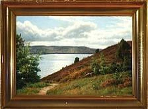 A Danish Summer Landscape From Silkeborg Lake District Oil Painting by Axel Birkhammer