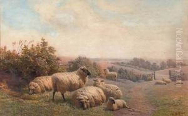 Sheep Resting On A Summer's Day Oil Painting by Henry Birtles