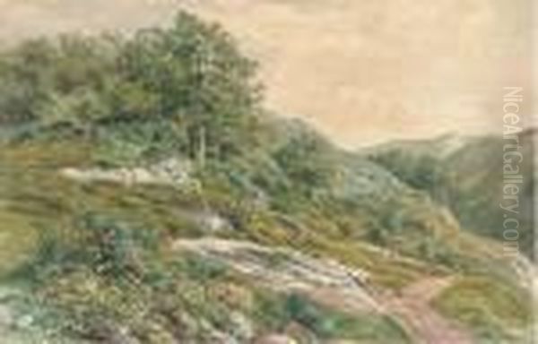 The Hillside Path Oil Painting by Henry Birtles