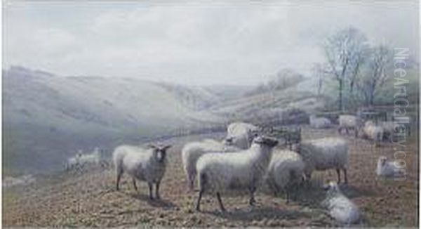 Sheep On A Hillside Oil Painting by Henry Birtles