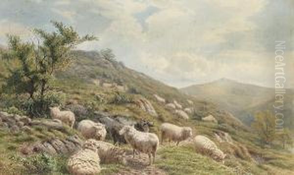 Sheep Grazing On The Hilltops Oil Painting by Henry Birtles