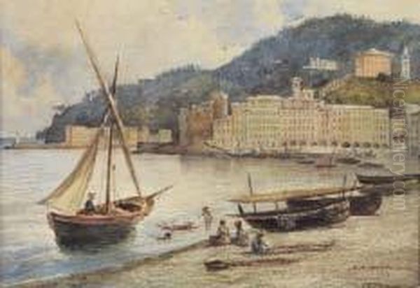 Veduta Di Santa Margherita Oil Painting by Carlo Felice Biscarra