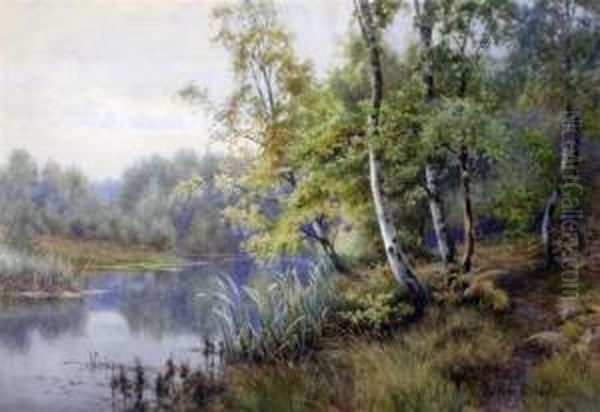 Birch Trees Beside A River Oil Painting by Walter Follen Bishop