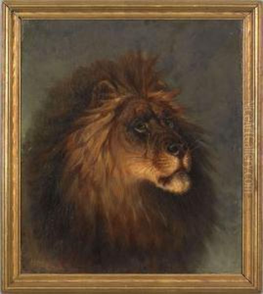 Portrait Of A Lion Oil Painting by Henry Collins Bispham