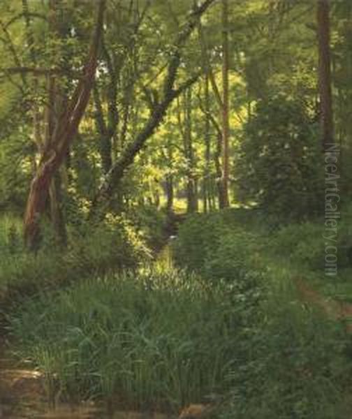 A Woodland Stream Oil Painting by Henri Biva