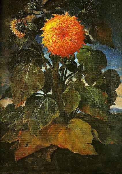 Sunflower Oil Painting by Bartolommeo Bimbi