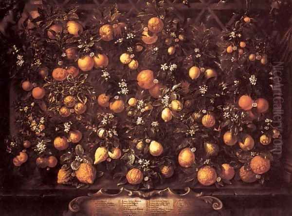 Citrus Oil Painting by Bartolommeo Bimbi