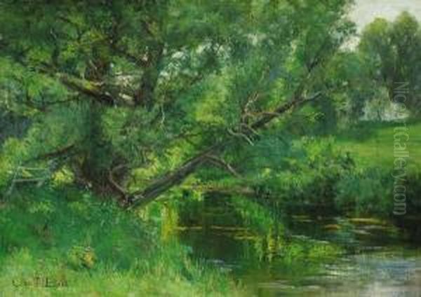 ''where The Trout Hide'' Oil Painting by Olive Parker Black