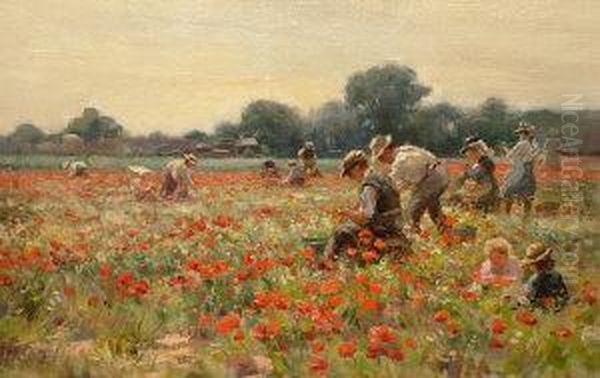 The Harvest Field Oil Painting by William Kay Blacklock