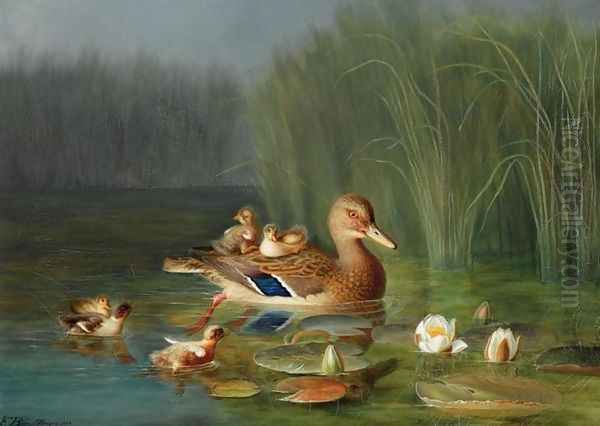 Wild Duck with its Ducklings (Villender) Oil Painting by Franz Boe