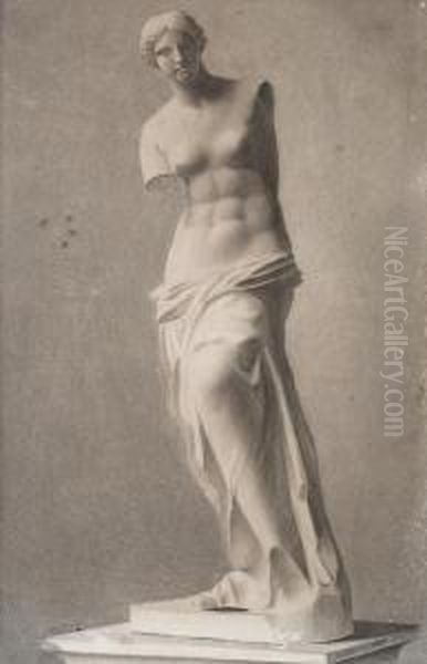 Venus De Milo Oil Painting by Juan Manuel Blanes