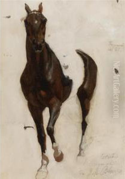 Boceto Para El Caballo De La Revista De Santos Oil Painting by Juan Manuel Blanes