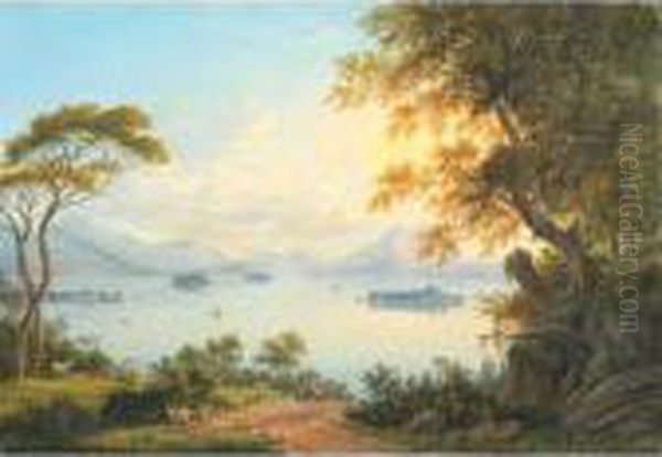 Les Iles Borromees Au Lac Majeur Oil Painting by Johann Heinrich Bleuler I