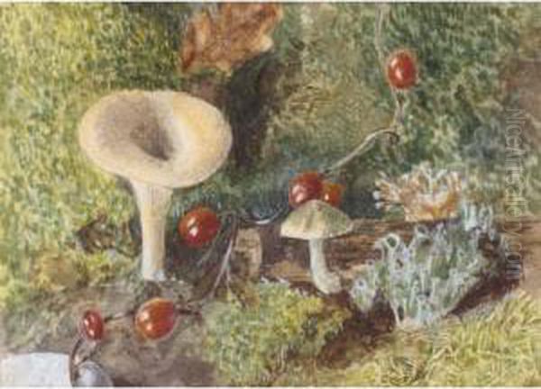 Toadstools Oil Painting by Jabez Bligh