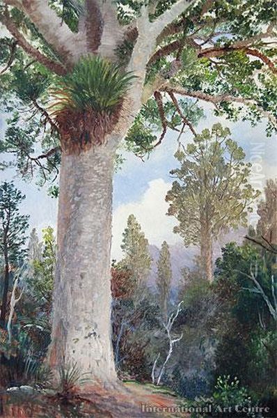 Kauri Bush Oil Painting by Charles Blomfield